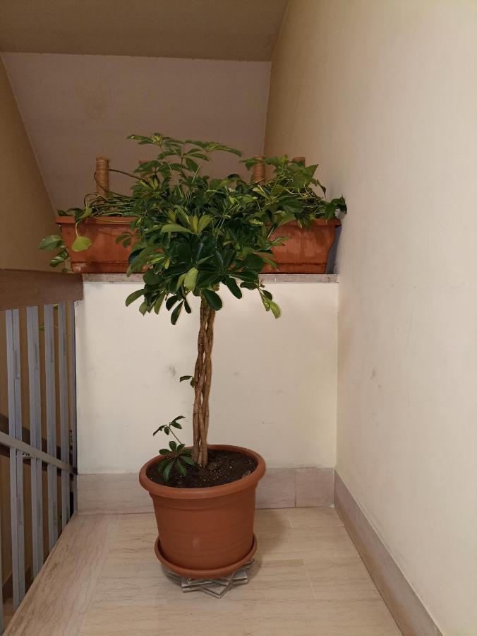 Appartamento Talenti *